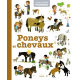 Poneys et chevaux - Album