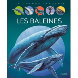 Les baleines - Album