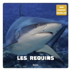 Les requins - Grand Format