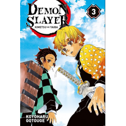 Demon Slayer - Kimetsu no yaiba - Tome 3 - Tome 3
