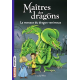 Maîtres des dragons - Tome 5