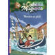 La cabane magique - Tome 28