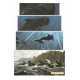 Sigrid - Tome 1 - Sur cette terre inconnue