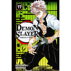 Demon Slayer - Kimetsu no yaiba - Tome 17 - Tome 17