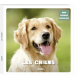 Les chiens - Album