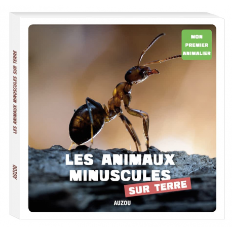 Les animaux minuscules de la terre - Grand Format