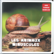 Les animaux minuscules - Album