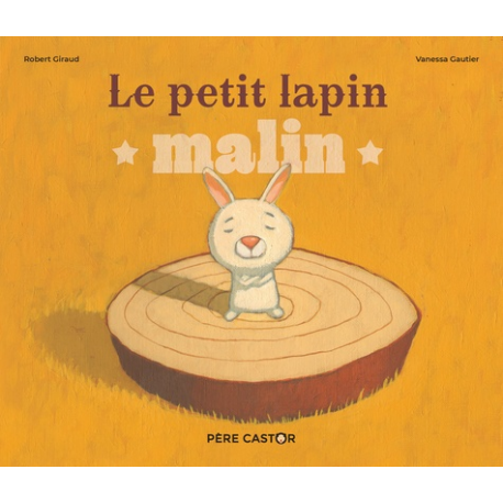 Le petit lapin malin - Album