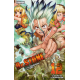 Dr. Stone - Tome 12 - Le Secret de la pétrification