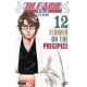 Bleach - Tome 12 - Flower on the Precipice