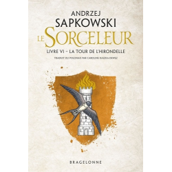 Le Sorceleur - Tome 6