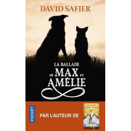 La ballade de Max et Amélie - Poche