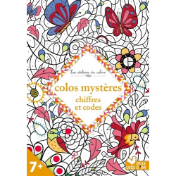 Colos mystères, chiffres et codes - Grand Format