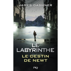 Le Labyrinthe - Le destin de Newt - Grand Format