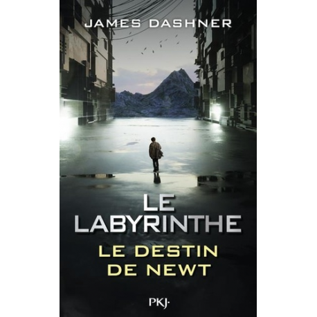 Labyrinthe (petit format)