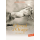 Cheval d'Orage - Tome 3