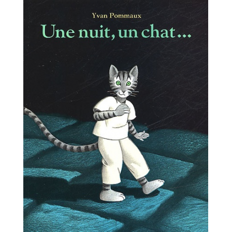 Une nuit, un chat - Poche