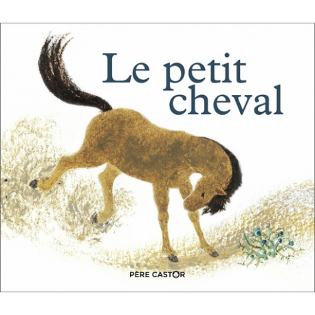 Le petit cheval et le vieux chameau - Album