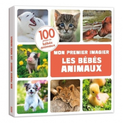 Les bébés animaux - Album