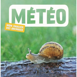 Météo - Album