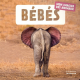 Bebés - Album