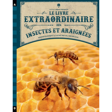 Le livre extraordinaire des insectes et araignées - Grand Format