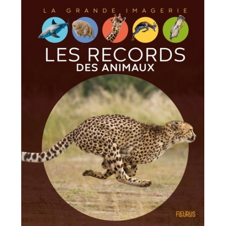 Les records des animaux - Album