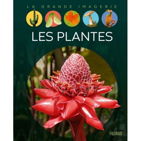 Les plantes - Album