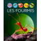 Les fourmis - Album