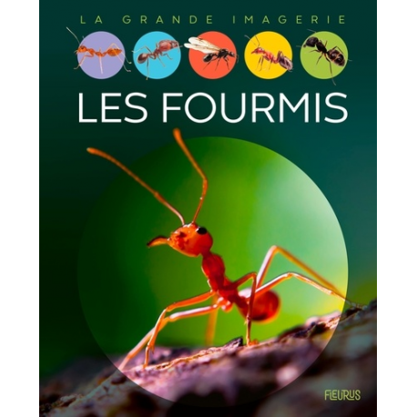 Les fourmis - Album