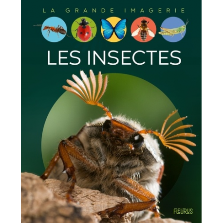 Les insectes - Album