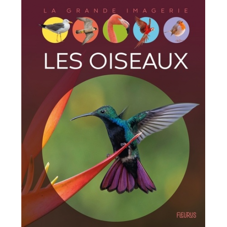 Les oiseaux - Album