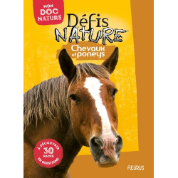 Chevaux et poneys - Grand Format