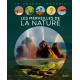 Les merveilles de la nature - Album