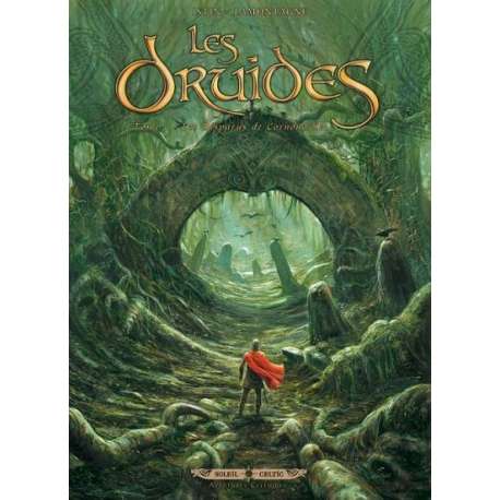 Druides (Les) - Tome 7 - Les disparus de Cornouailles