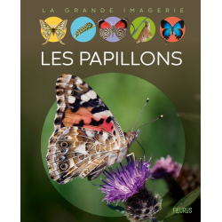 Les papillons - Album