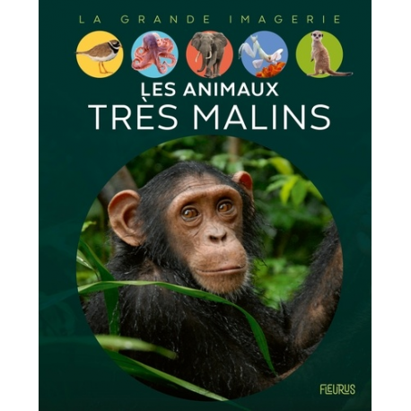 Les animaux très malins - Album