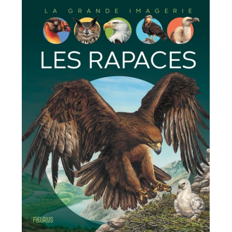 Les rapaces - Album