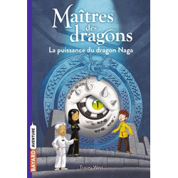 Maîtres des dragons - Tome 13