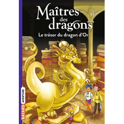 Maîtres des dragons - Tome 12