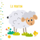 La ferme - Coloriage pour les petits - Album