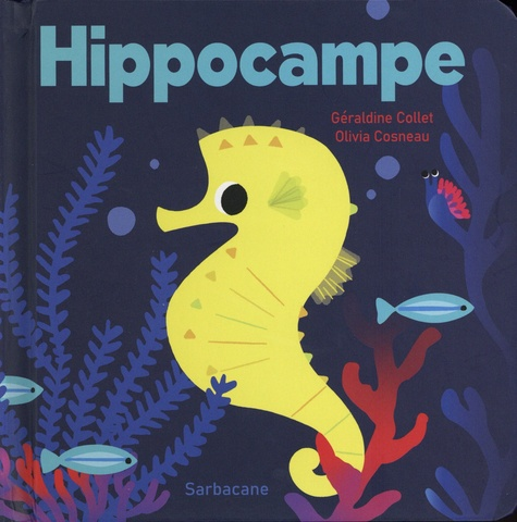 Hippocampe - Mémoires d'Océans