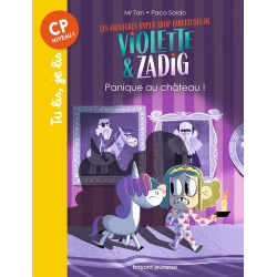 Les aventures hyper trop fabuleuses de Violette et Zadig - Poche