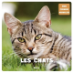 Les chats - Album