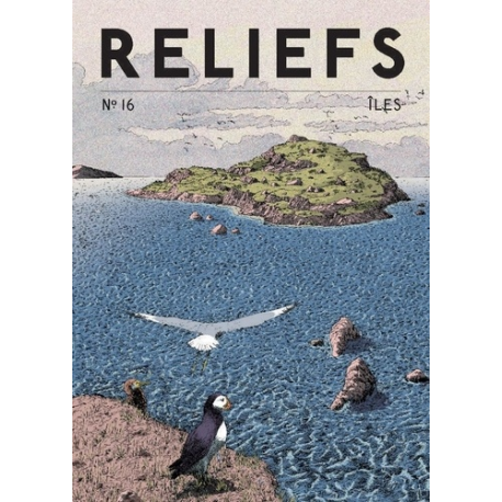 Reliefs N° 16 - Grand Format
