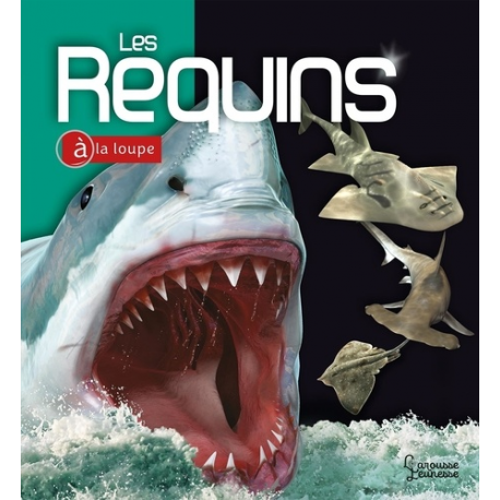 Les Requins - Album