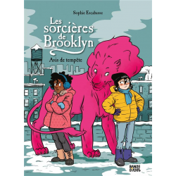 Sorcières de Brooklyn (Les) - Tome 2 - Avis de tempête