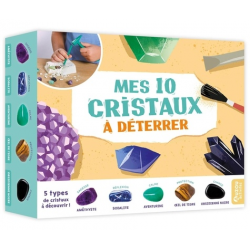 Mes 10 cristaux à déterrer - 5 types de cristaux à découvrir - Grand Format