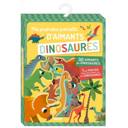 Ma première pochette d'aimants Dinosaures - Avec 30 aimants de dinosaures et 1 joli poster pour tout savoir sur les dinosaures