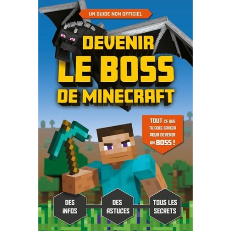 Devenir le boss de Minecraft - Grand Format